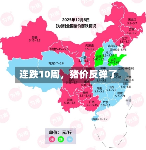 连跌10周，猪价反弹了-第1张图片