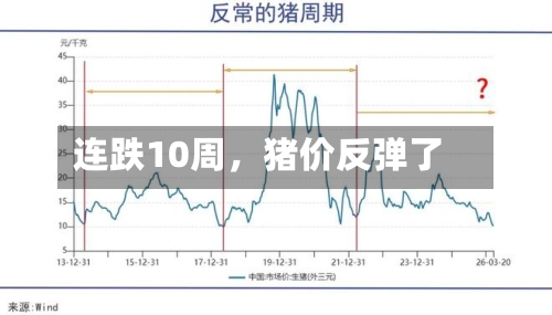 连跌10周	，猪价反弹了-第2张图片