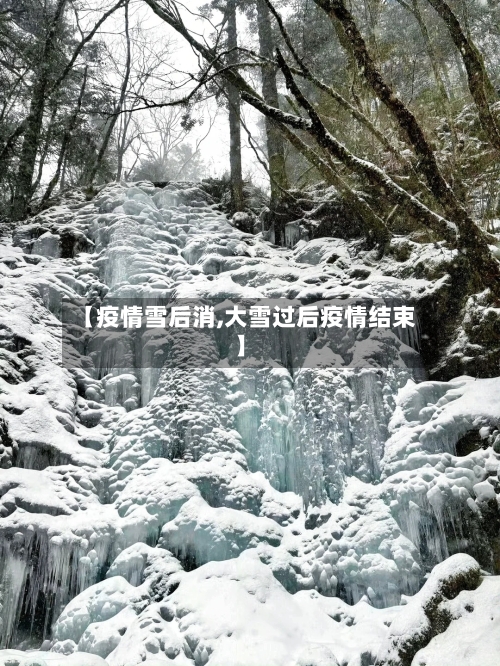 【疫情雪后消,大雪过后疫情结束】-第1张图片