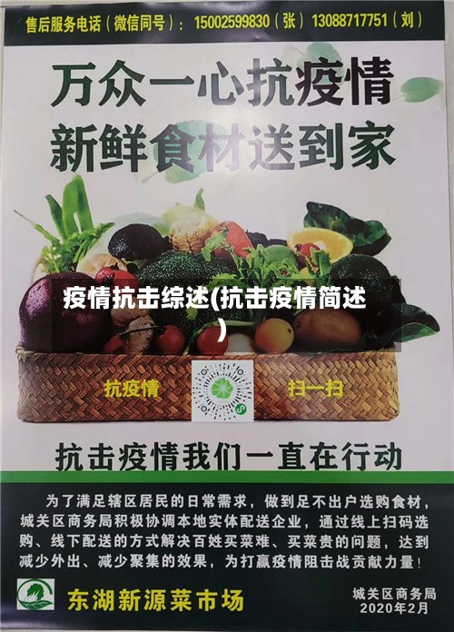疫情抗击综述(抗击疫情简述)-第1张图片