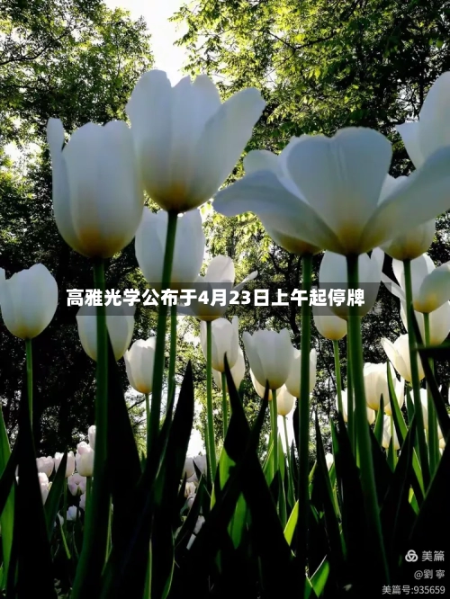 高雅光学公布于4月23日上午起停牌-第1张图片