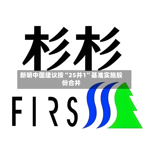 新明中国建议按“25并1	”基准实施股份合并-第1张图片