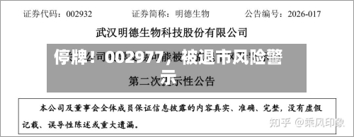 停牌！002977，被退市风险警示-第2张图片