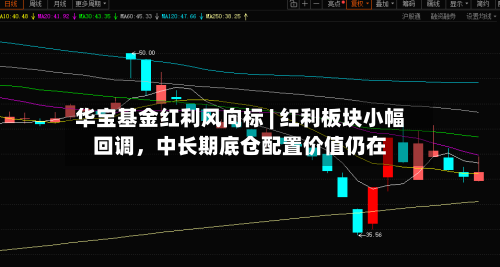 华宝基金红利风向标 | 红利板块小幅回调，中长期底仓配置价值仍在-第1张图片