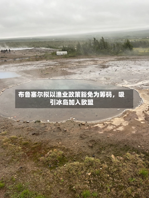 布鲁塞尔拟以渔业政策豁免为筹码，吸引冰岛加入欧盟-第2张图片