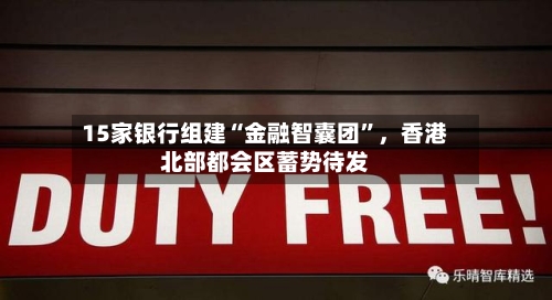 15家银行组建“金融智囊团	”，香港北部都会区蓄势待发-第3张图片