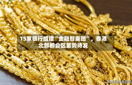 15家银行组建“金融智囊团”，香港北部都会区蓄势待发-第2张图片