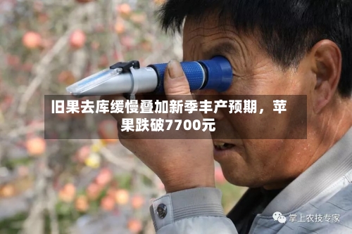 旧果去库缓慢叠加新季丰产预期，苹果跌破7700元-第2张图片