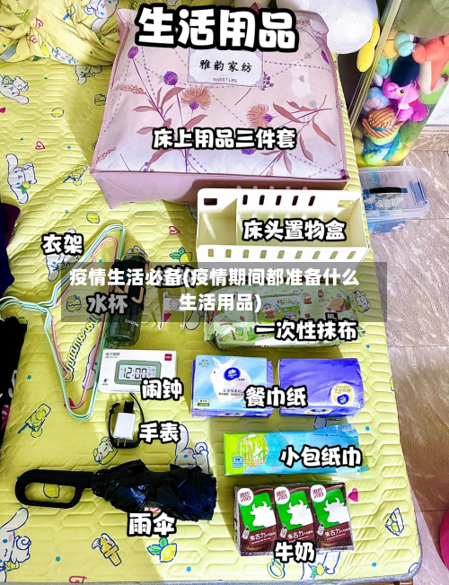 疫情生活必备(疫情期间都准备什么生活用品)-第1张图片