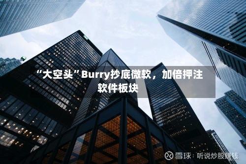 “大空头	”Burry抄底微软	，加倍押注软件板块-第2张图片