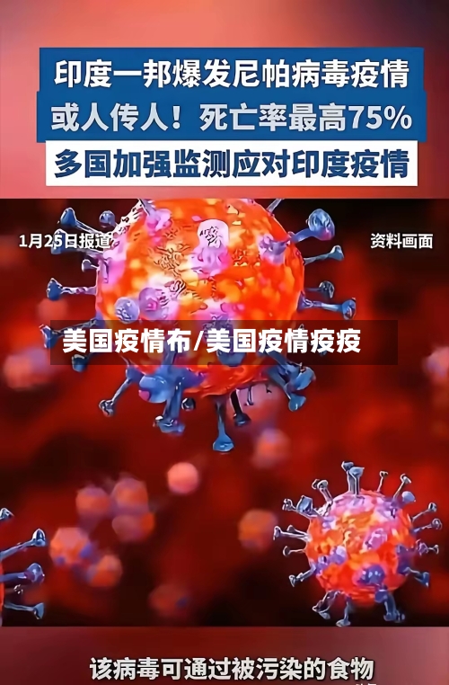 美国疫情布/美国疫情疫疫-第1张图片