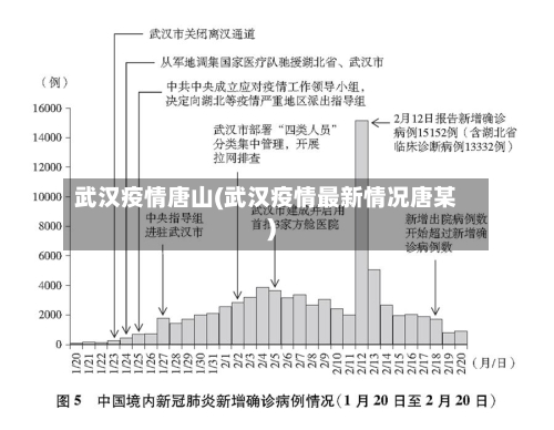 武汉疫情唐山(武汉疫情最新情况唐某)-第1张图片