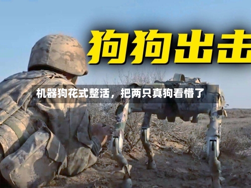 机器狗花式整活，把两只真狗看懵了-第2张图片