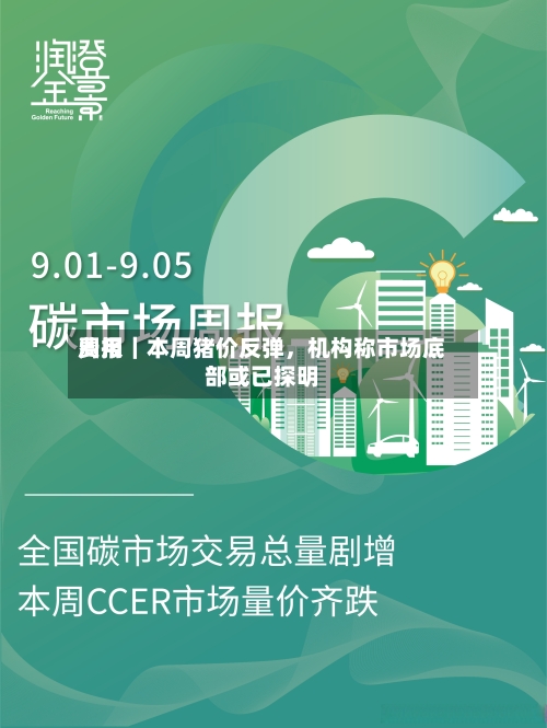 费用周报｜本周猪价反弹，机构称市场底部或已探明-第1张图片