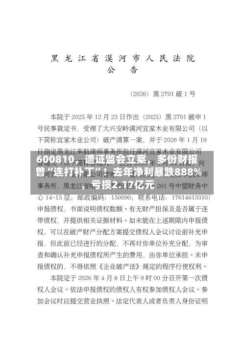 600810，遭证监会立案	，多份财报曾“连打补丁”！去年净利暴跌888%，亏损2.17亿元-第1张图片