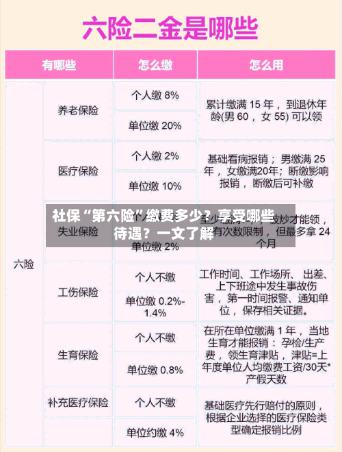社保“第六险”缴费多少？享受哪些待遇？一文了解-第1张图片