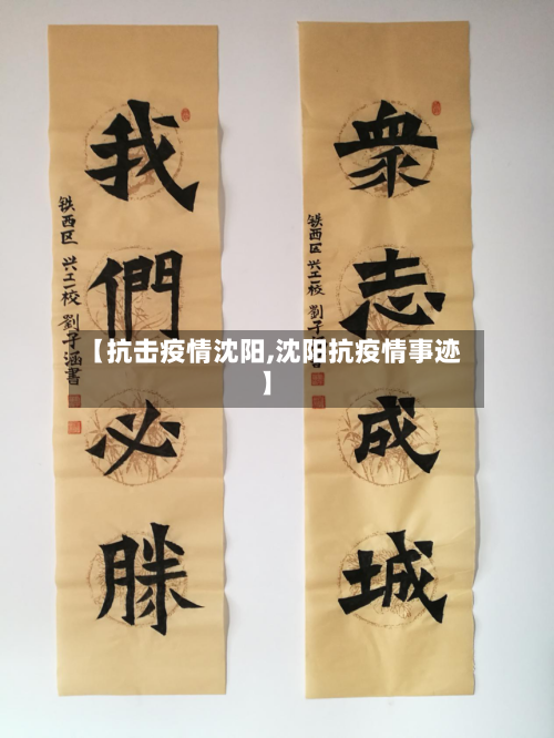 【抗击疫情沈阳,沈阳抗疫情事迹】-第1张图片