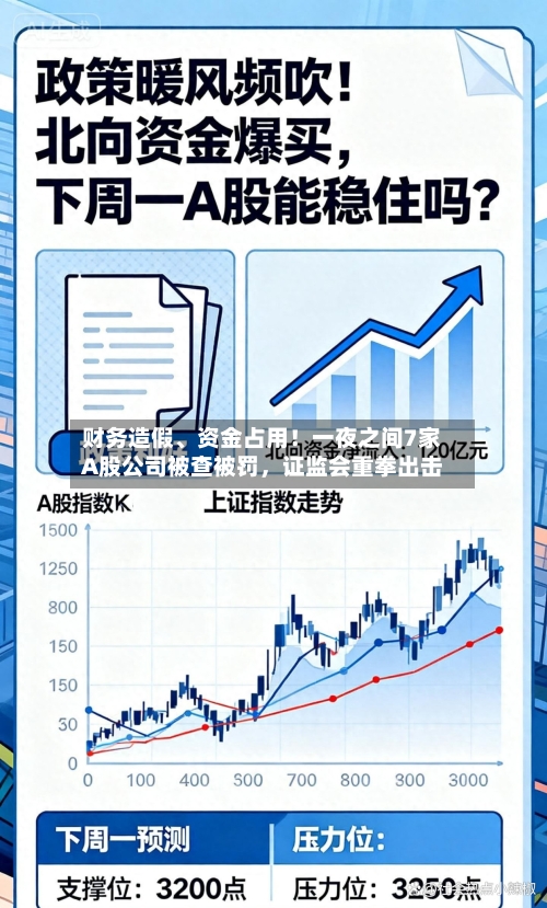 财务造假	、资金占用！一夜之间7家A股公司被查被罚	，证监会重拳出击-第1张图片