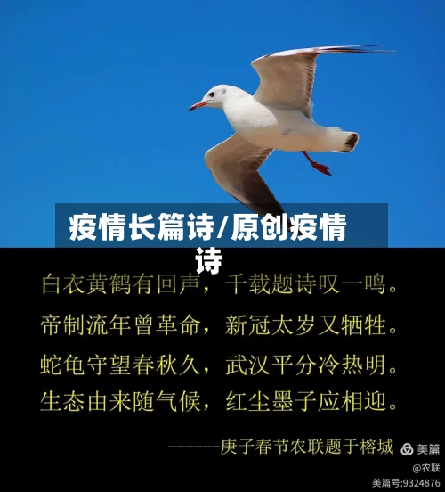 疫情长篇诗/原创疫情诗-第1张图片