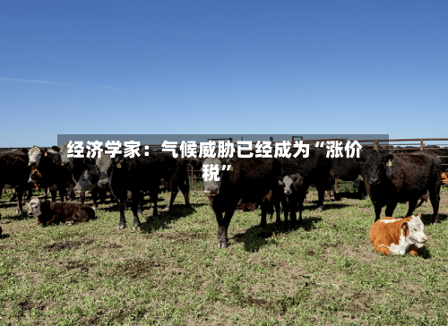 经济学家：气候威胁已经成为“涨价税”-第3张图片
