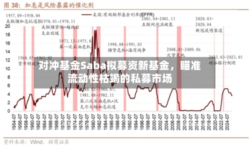 对冲基金Saba拟募资新基金，瞄准流动性枯竭的私募市场-第1张图片