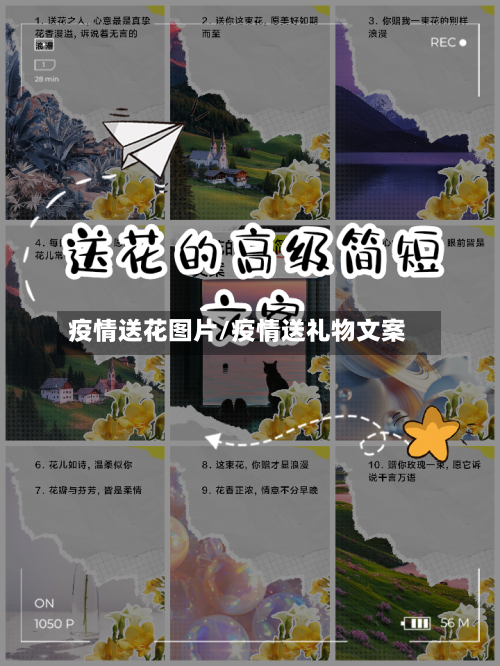疫情送花图片/疫情送礼物文案-第1张图片