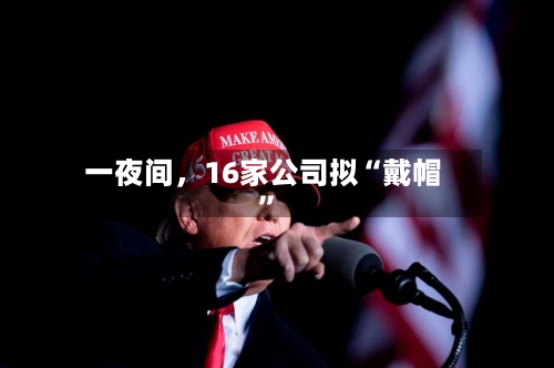 一夜间，16家公司拟“戴帽”-第3张图片