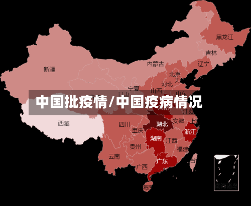中国批疫情/中国疫病情况-第1张图片