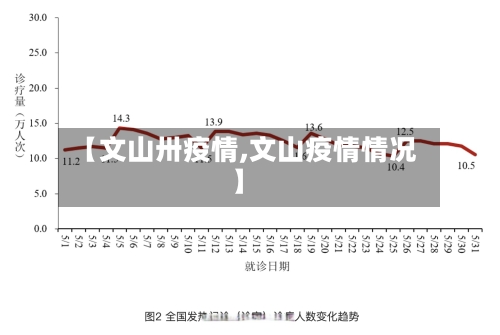 【文山卅疫情,文山疫情情况】-第1张图片