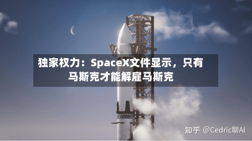 独家权力：SpaceX文件显示，只有马斯克才能解雇马斯克-第2张图片