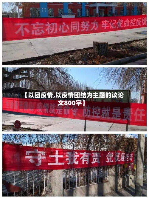 【以团疫情,以疫情团结为主题的议论文800字】-第1张图片