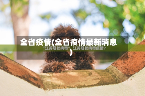 全省疫情(全省疫情最新消息)-第1张图片