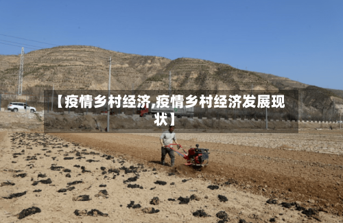 【疫情乡村经济,疫情乡村经济发展现状】-第1张图片