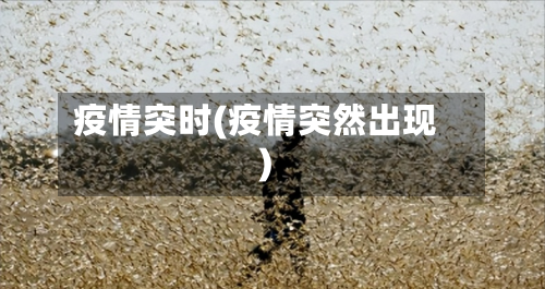 疫情突时(疫情突然出现)-第1张图片