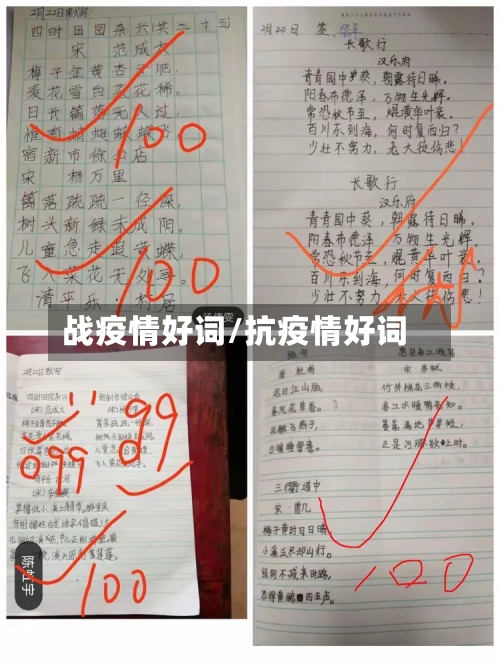 战疫情好词/抗疫情好词-第1张图片