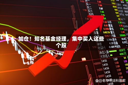 加仓！知名基金经理，集中买入这些个股-第1张图片