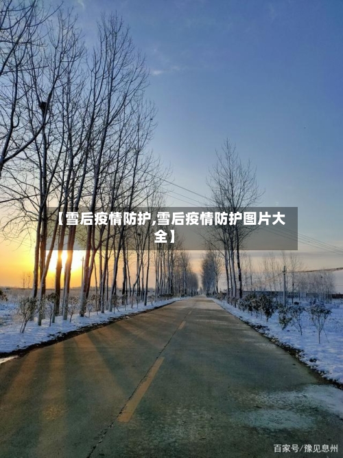 【雪后疫情防护,雪后疫情防护图片大全】-第1张图片