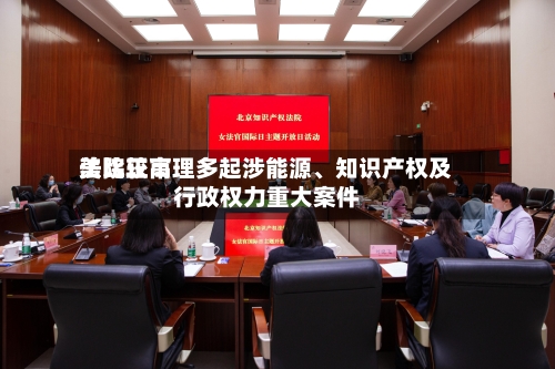 美比较高法院正审理多起涉能源、知识产权及行政权力重大案件-第3张图片