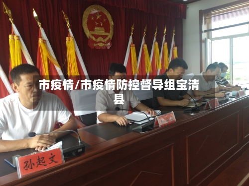 市疫情/市疫情防控督导组宝清县-第1张图片
