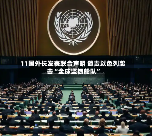 11国外长发表联合声明 谴责以色列袭击“全球坚韧船队”-第1张图片