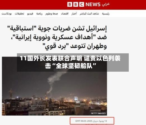 11国外长发表联合声明 谴责以色列袭击“全球坚韧船队”-第2张图片