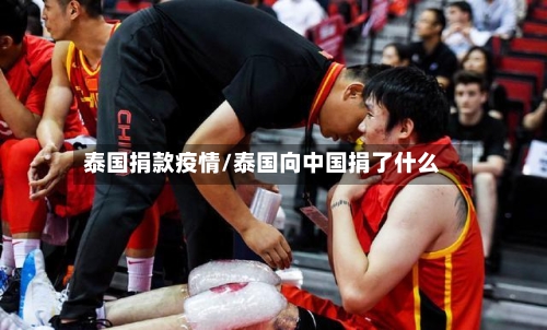 泰国捐款疫情/泰国向中国捐了什么-第1张图片