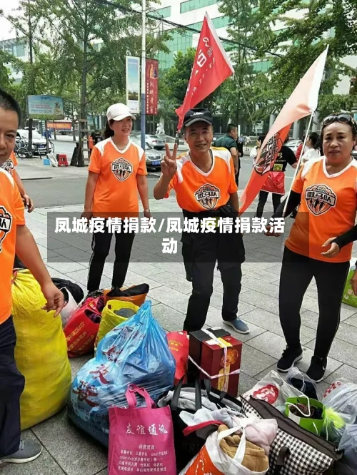 凤城疫情捐款/凤城疫情捐款活动-第1张图片