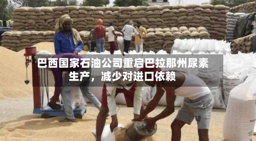 巴西国家石油公司重启巴拉那州尿素生产，减少对进口依赖-第2张图片