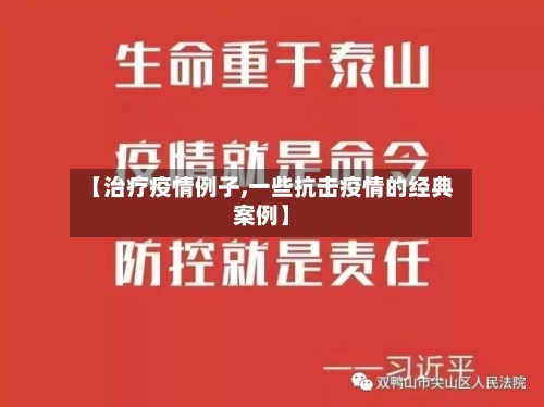 【治疗疫情例子,一些抗击疫情的经典案例】-第2张图片