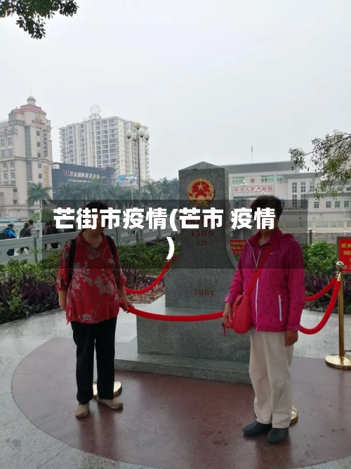 芒街市疫情(芒市 疫情)-第2张图片