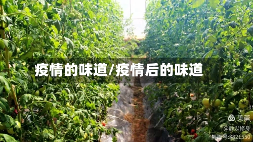 疫情的味道/疫情后的味道-第1张图片