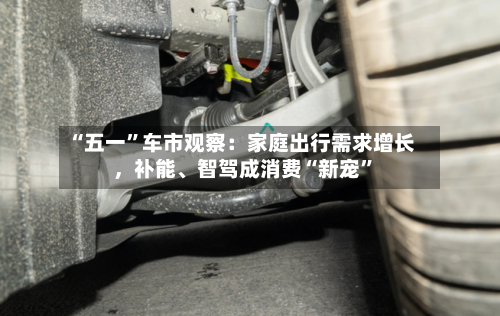 “五一”车市观察：家庭出行需求增长，补能、智驾成消费“新宠	”-第2张图片