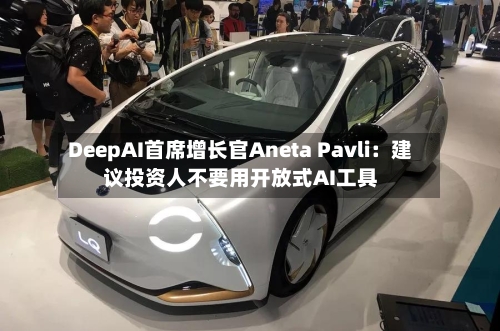 DeepAI首席增长官Aneta Pavli：建议投资人不要用开放式AI工具-第2张图片