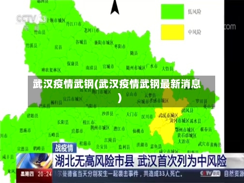 武汉疫情武钢(武汉疫情武钢最新消息)-第1张图片